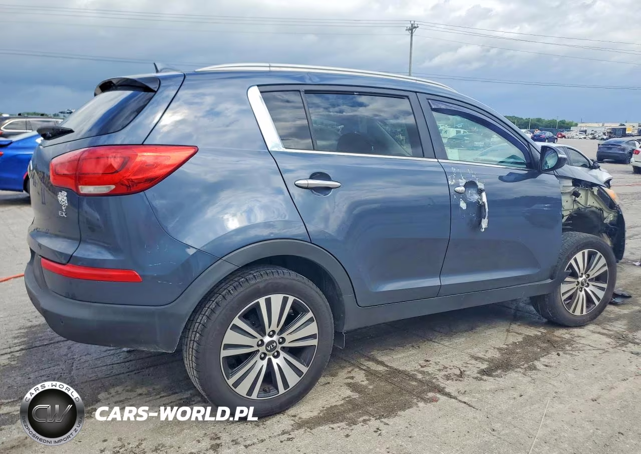 2016 Kia Sportage Ex VIN:KNDPC3AC3G7814998 - 3