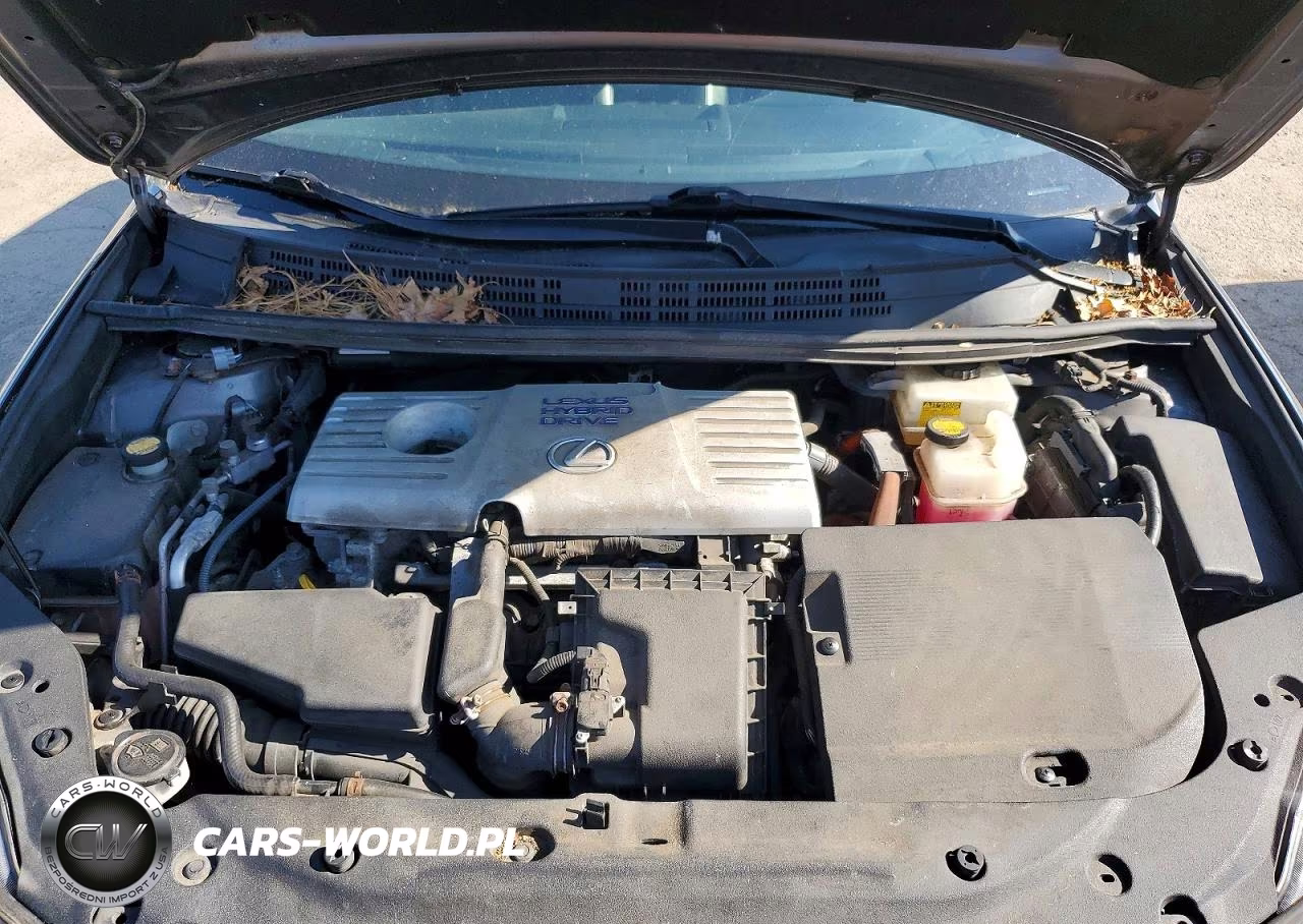 2013 Lexus Ct 200 VIN:JTHKD5BH1D2148440 - 11