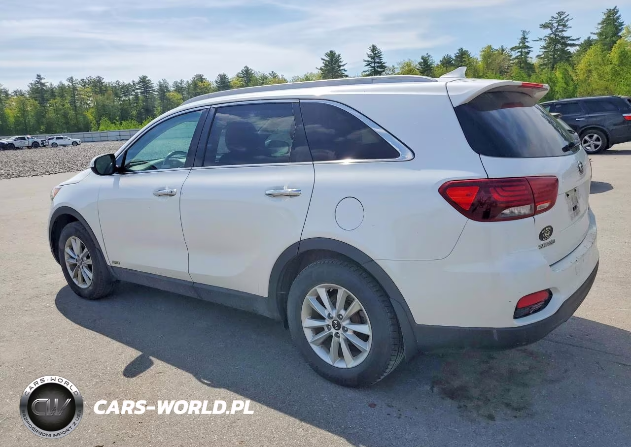 2019 Kia Sorento Lx VIN:5XYPGDA30KG434457 - 2