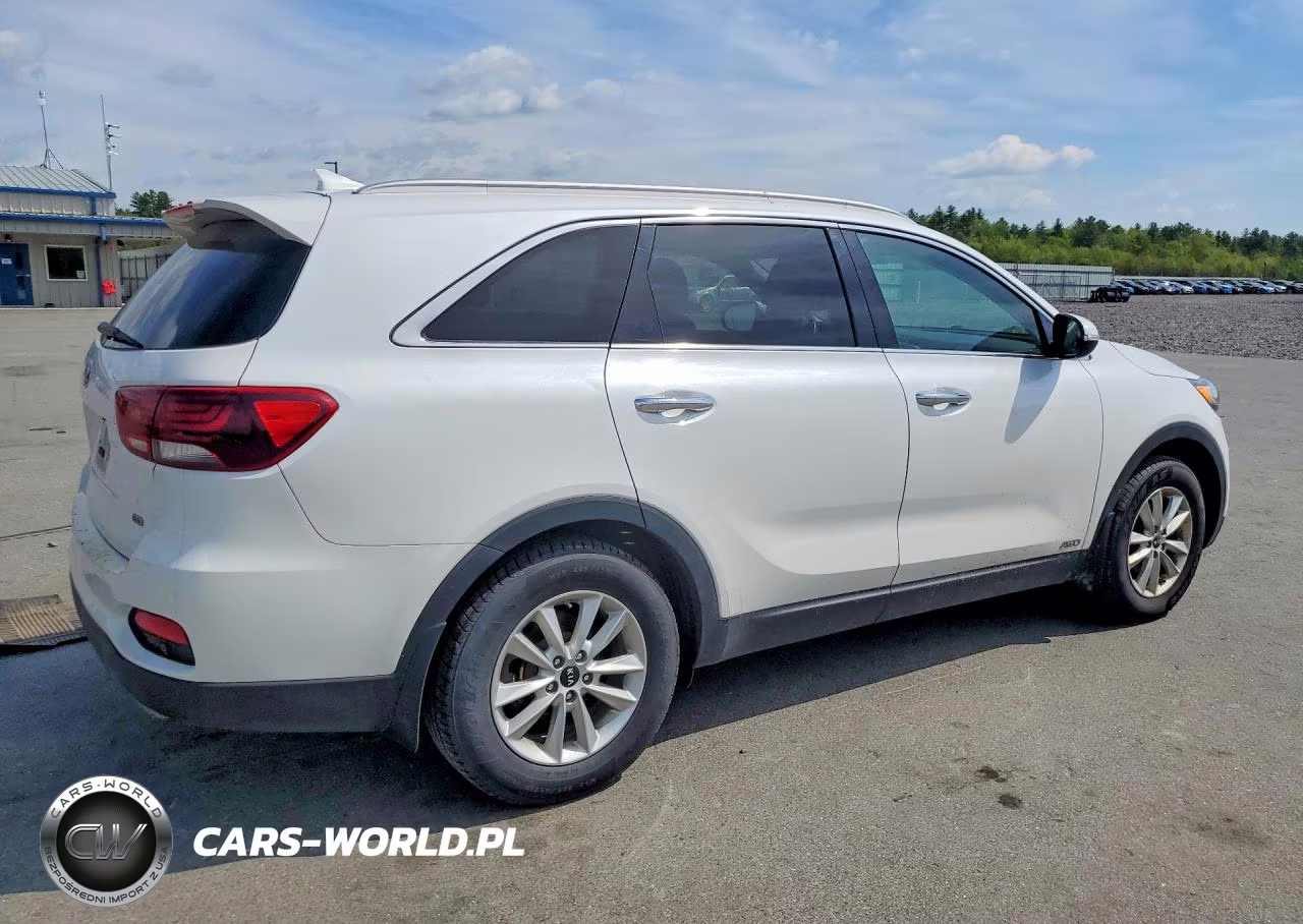 2019 Kia Sorento Lx VIN:5XYPGDA30KG434457 - 3