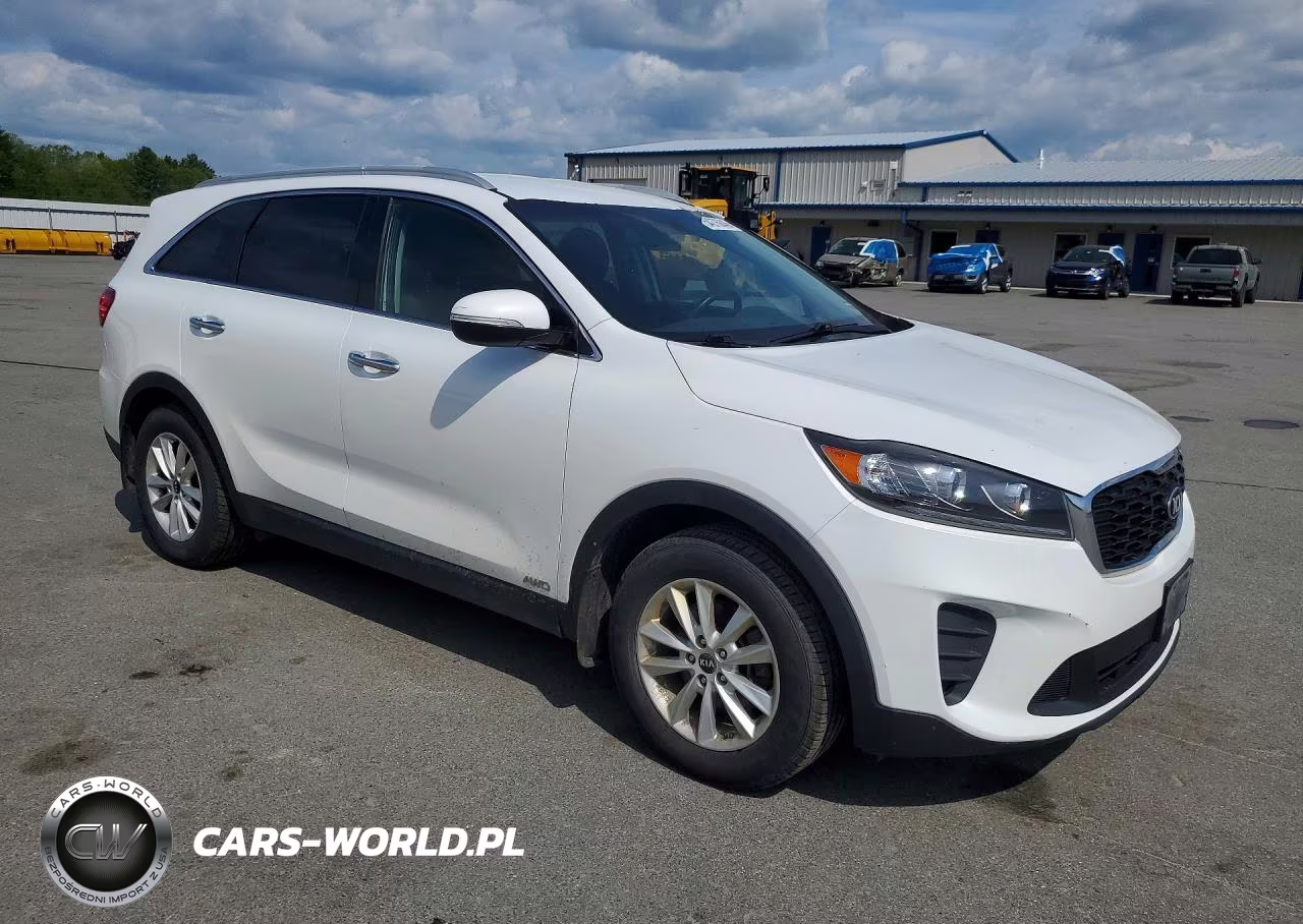 2019 Kia Sorento Lx VIN:5XYPGDA30KG434457 - 4
