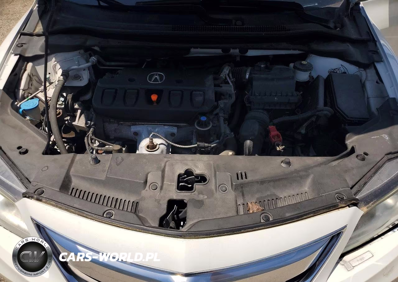 2014 Acura Ilx 20 VIN:19VDE1F3XEE004879 - 11