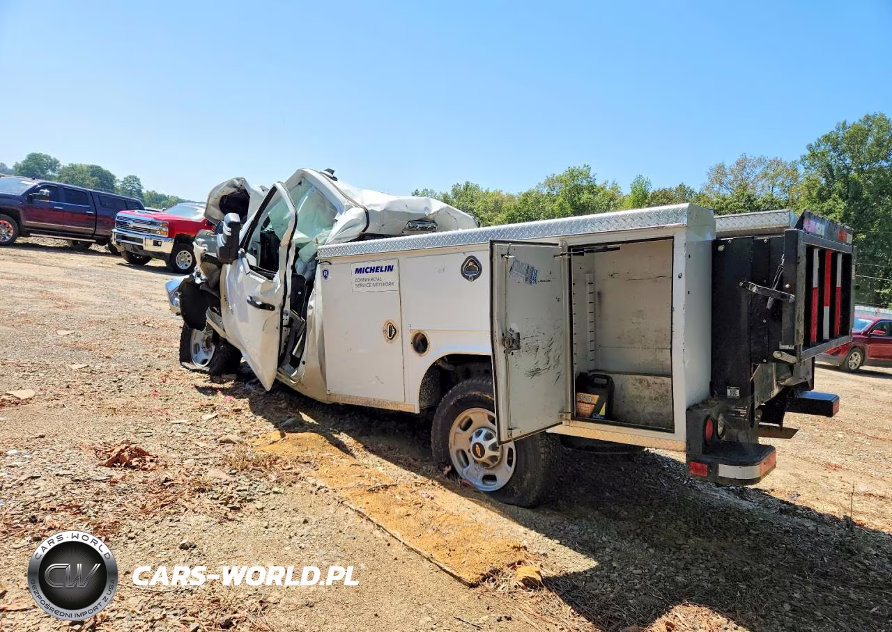 2021 Chevrolet Silverado C2500 Heavy Duty VIN:1GB0WLE72MF230216 - 2