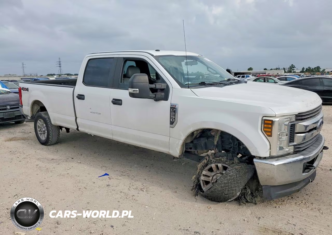 2019 Ford F250 Super Duty VIN:1FT7W2B60KEF84559 - 4