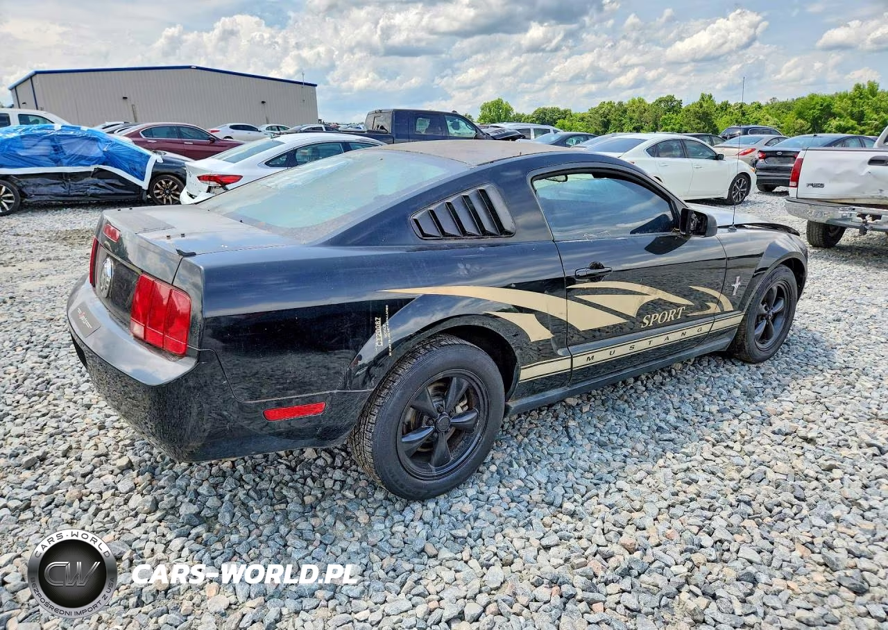 2007 Ford Mustang VIN:1ZVFT80N775203750 - 3