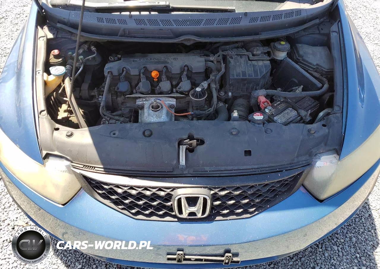 2010 Honda Civic Exl VIN:2HGFG1B91AH501923 - 11