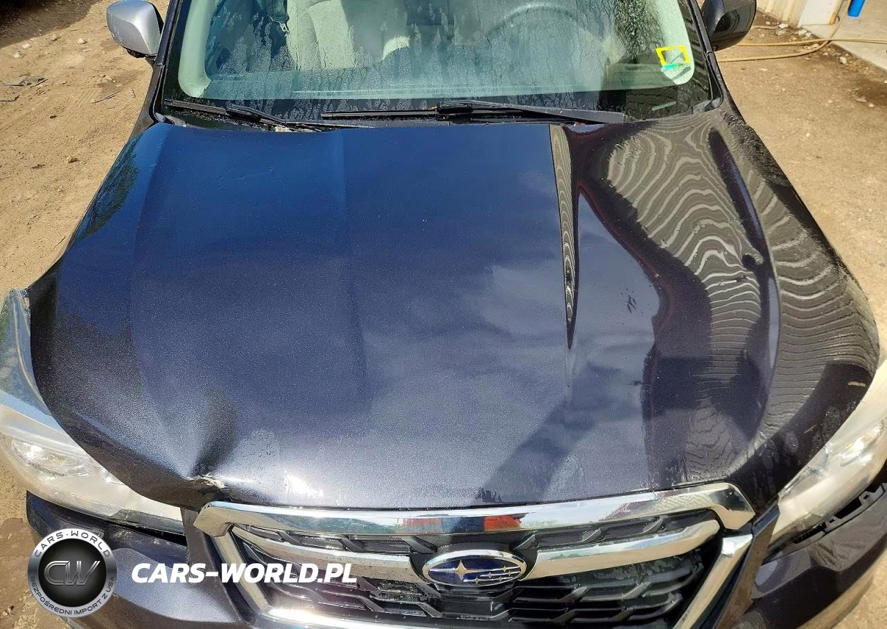 2018 Subaru Forester 2.5I VIN:JF2SJABC5JH403382 - 12