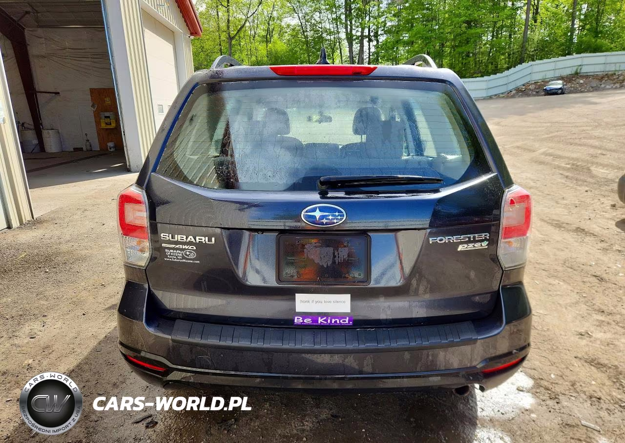 2018 Subaru Forester 2.5I VIN:JF2SJABC5JH403382 - 6