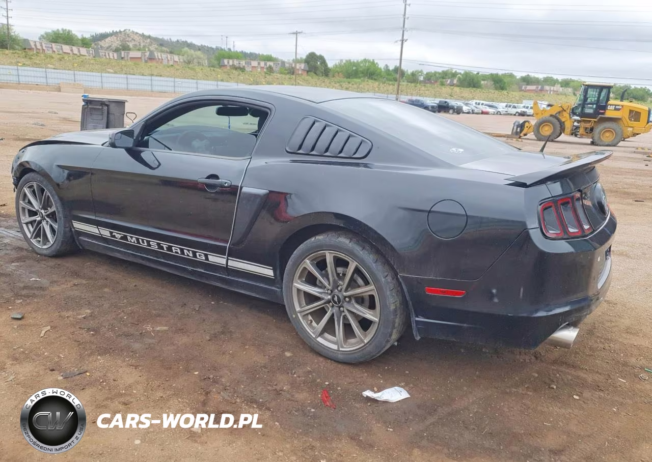 2014 Ford Mustang VIN:1ZVBP8AM9E5287916 - 2