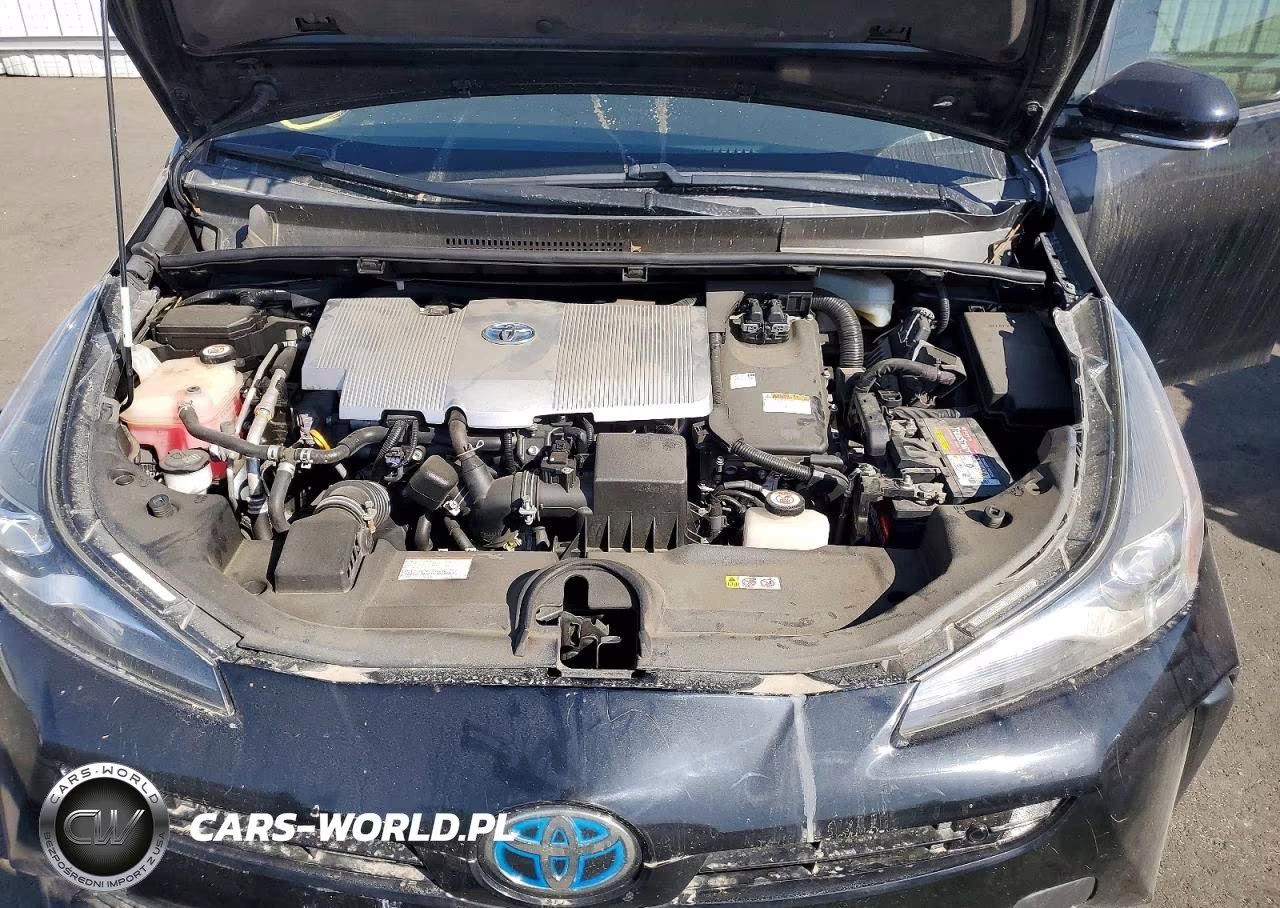 2019 Toyota Prius Xle VIN:JTDKARFU6K3079406 - 11