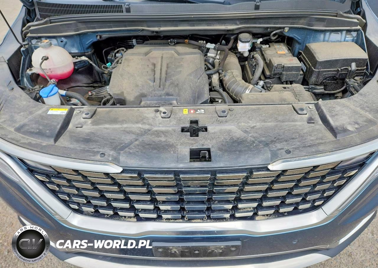 2023 Kia Carnival Sx VIN:KNDNE5H38P6211120 - 11
