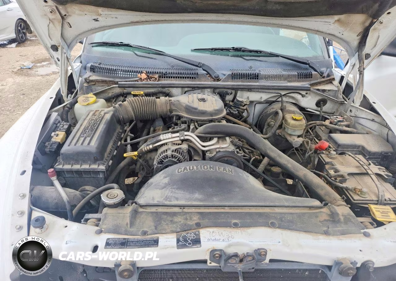 1999 Dodge Dakota VIN:1B7GL22X9XS205939 - 11