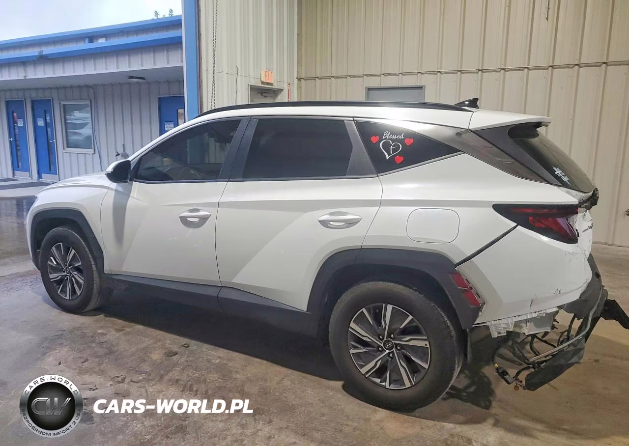 2024 Hyundai Tucson Blue VIN:KM8JBCD15RU211683 - 2
