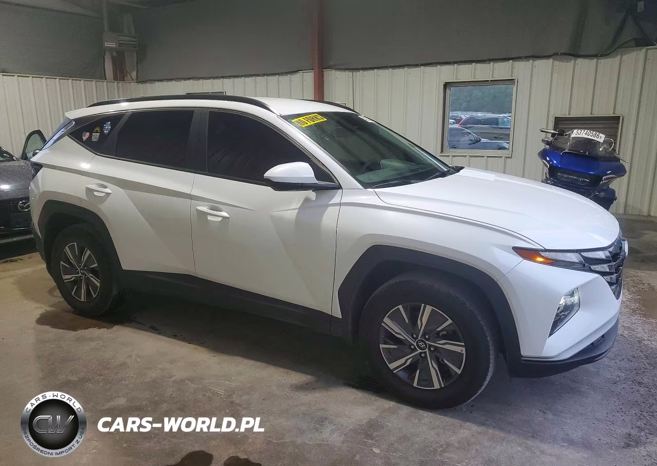 2024 Hyundai Tucson Blue VIN:KM8JBCD15RU211683 - 4