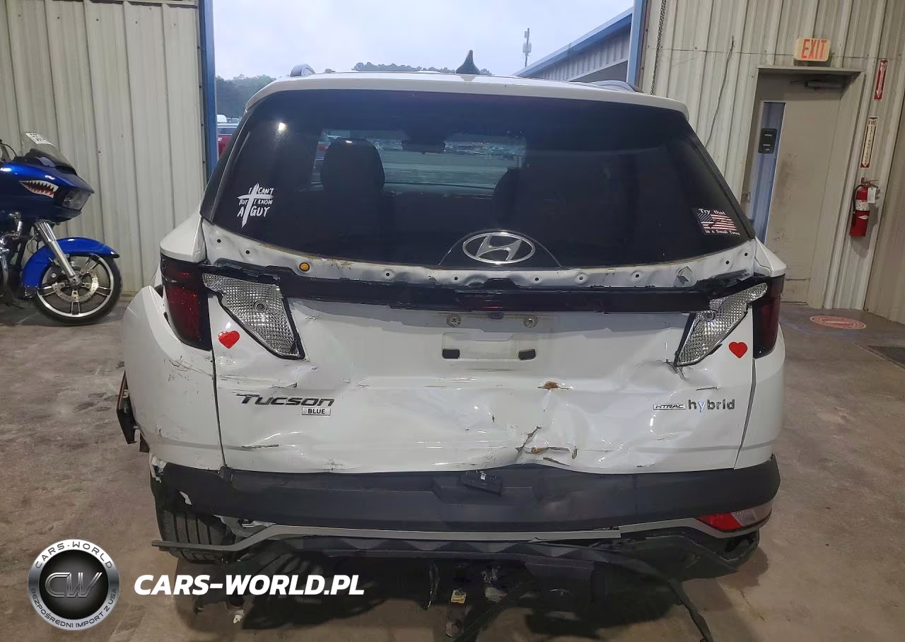 2024 Hyundai Tucson Blue VIN:KM8JBCD15RU211683 - 6