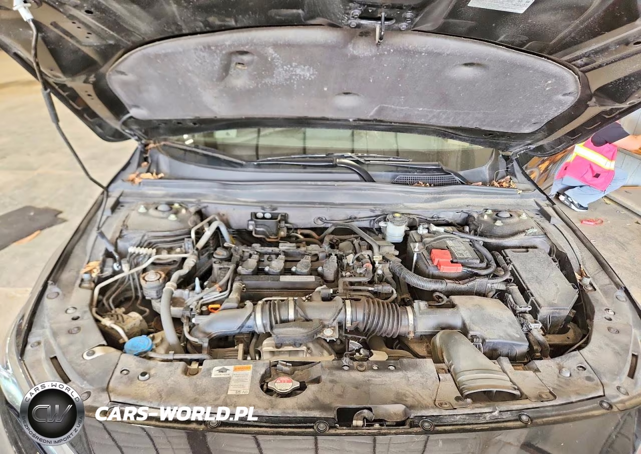 2019 Honda Accord Ex VIN:1HGCV1F42KA005584 - 11