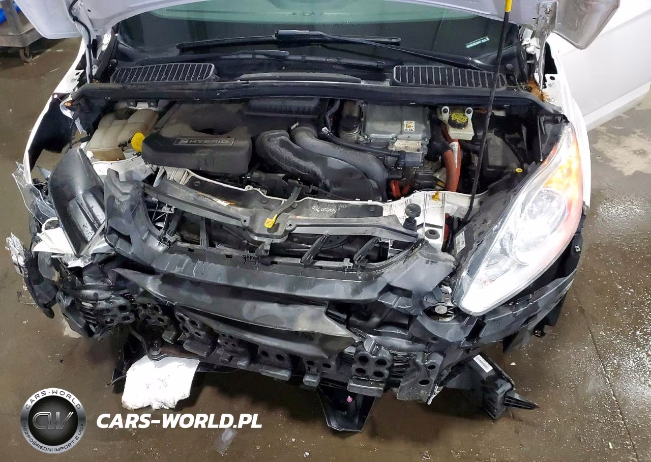 2014 Ford C-Max Sel VIN:1FADP5BU7EL513977 - 12