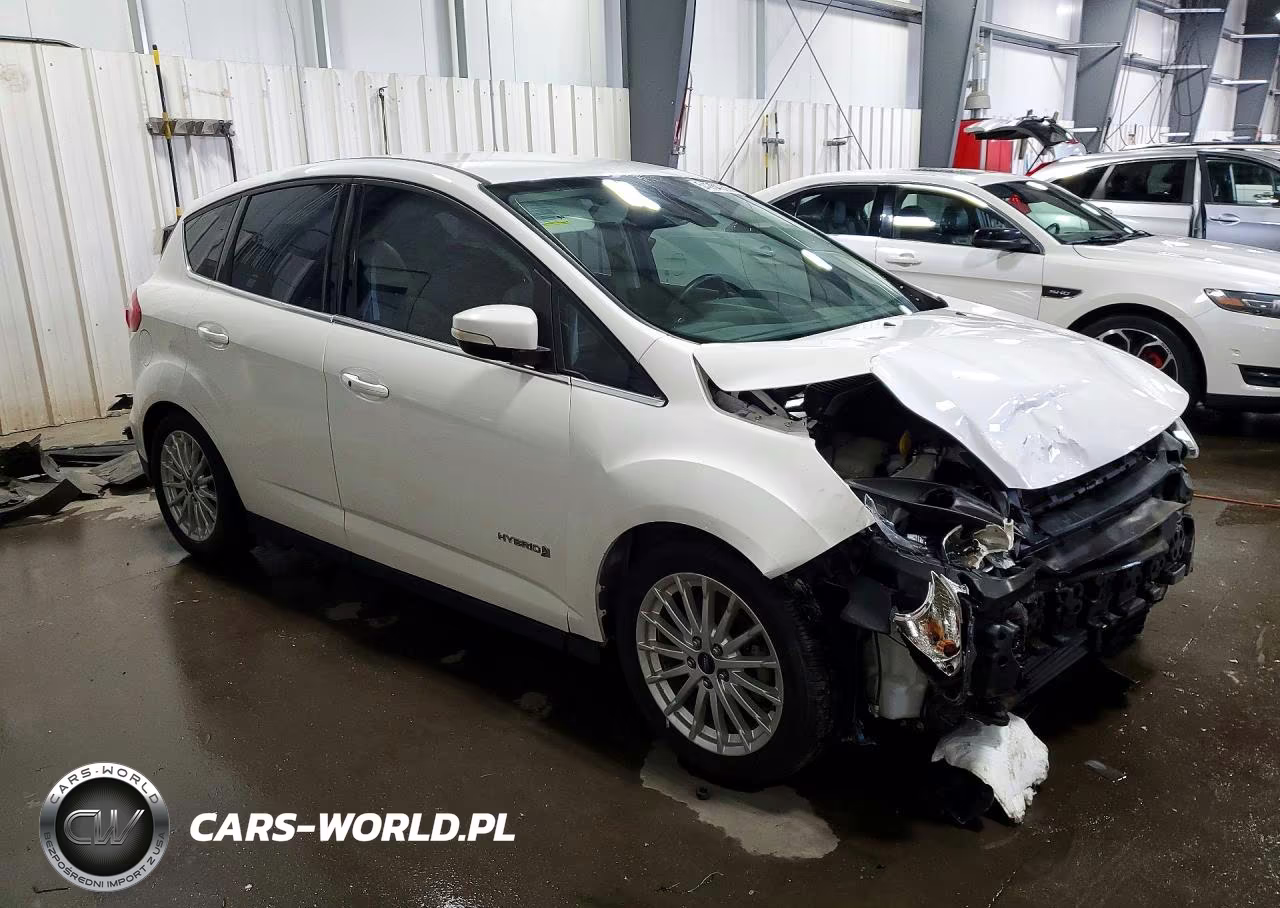 2014 Ford C-Max Sel VIN:1FADP5BU7EL513977 - 4