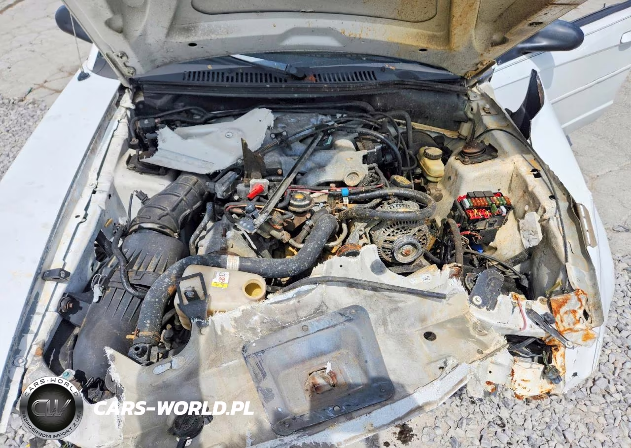 2000 Ford Mustang VIN:1FAFP4444YF155613 - 11
