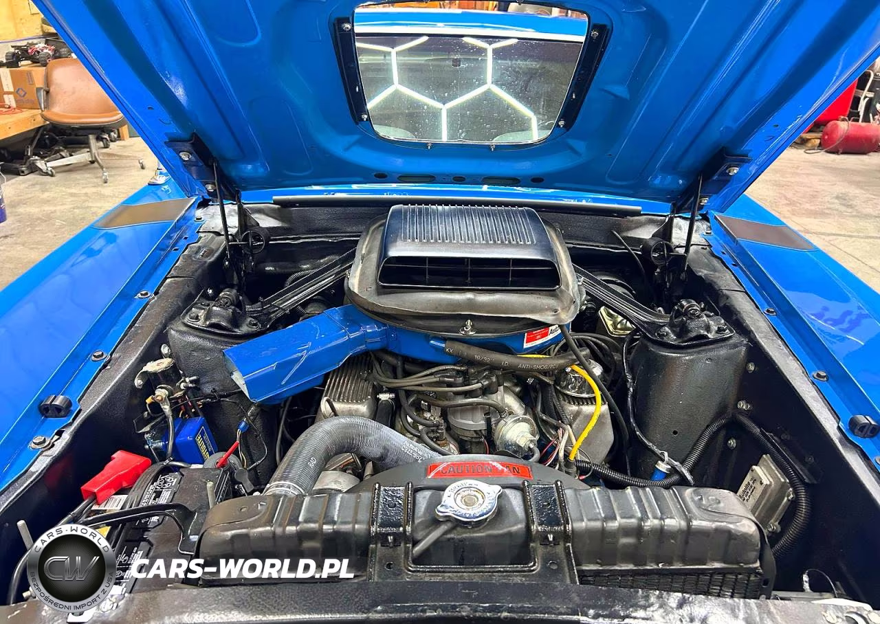 1970 Ford Boss 302 VIN:0T02G149527 - 7