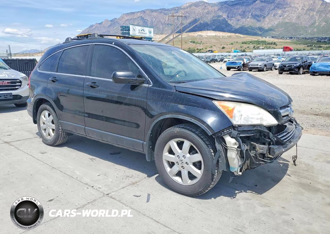 2009 Honda Cr-V Exl VIN:JHLRE48729C004731 - 4