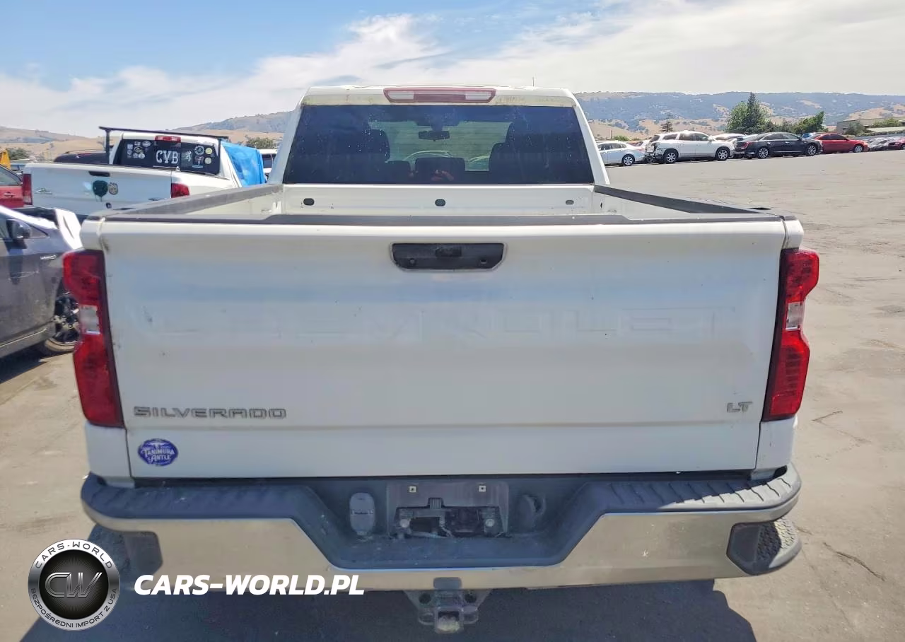 2019 Chevrolet Silverado K1500 Lt VIN:1GCRYDED8KZ391593 - 6