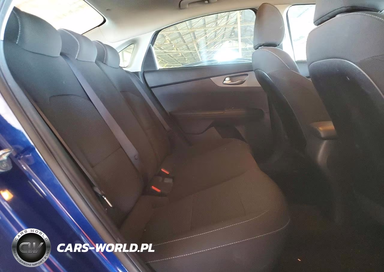 2019 Kia Forte Lxs VIN:3KPF24AD0KE043342 - 10