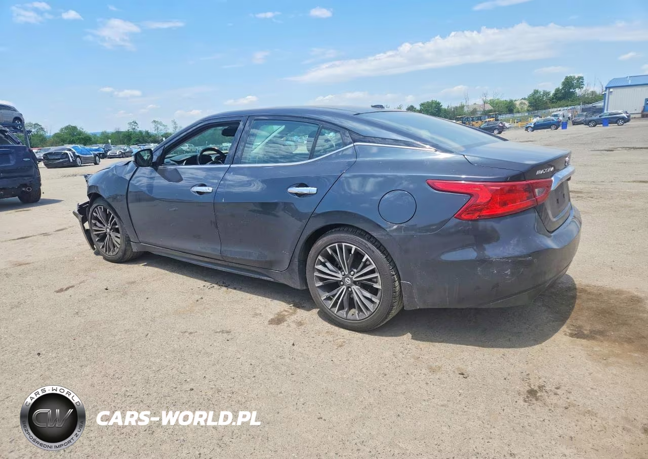 2016 Nissan Maxima Platinum VIN:1N4AA6APXGC394363 - 2