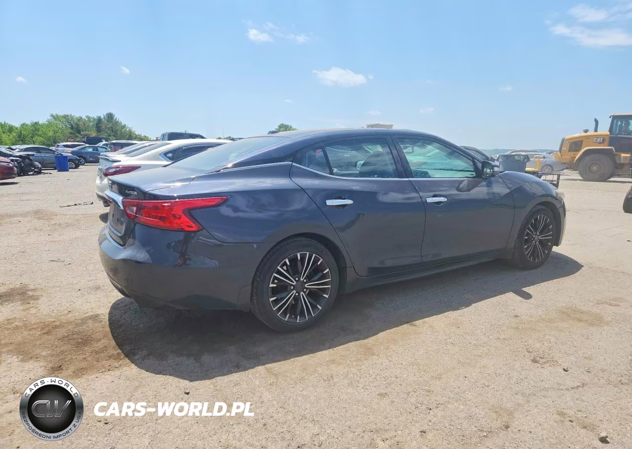 2016 Nissan Maxima Platinum VIN:1N4AA6APXGC394363 - 3