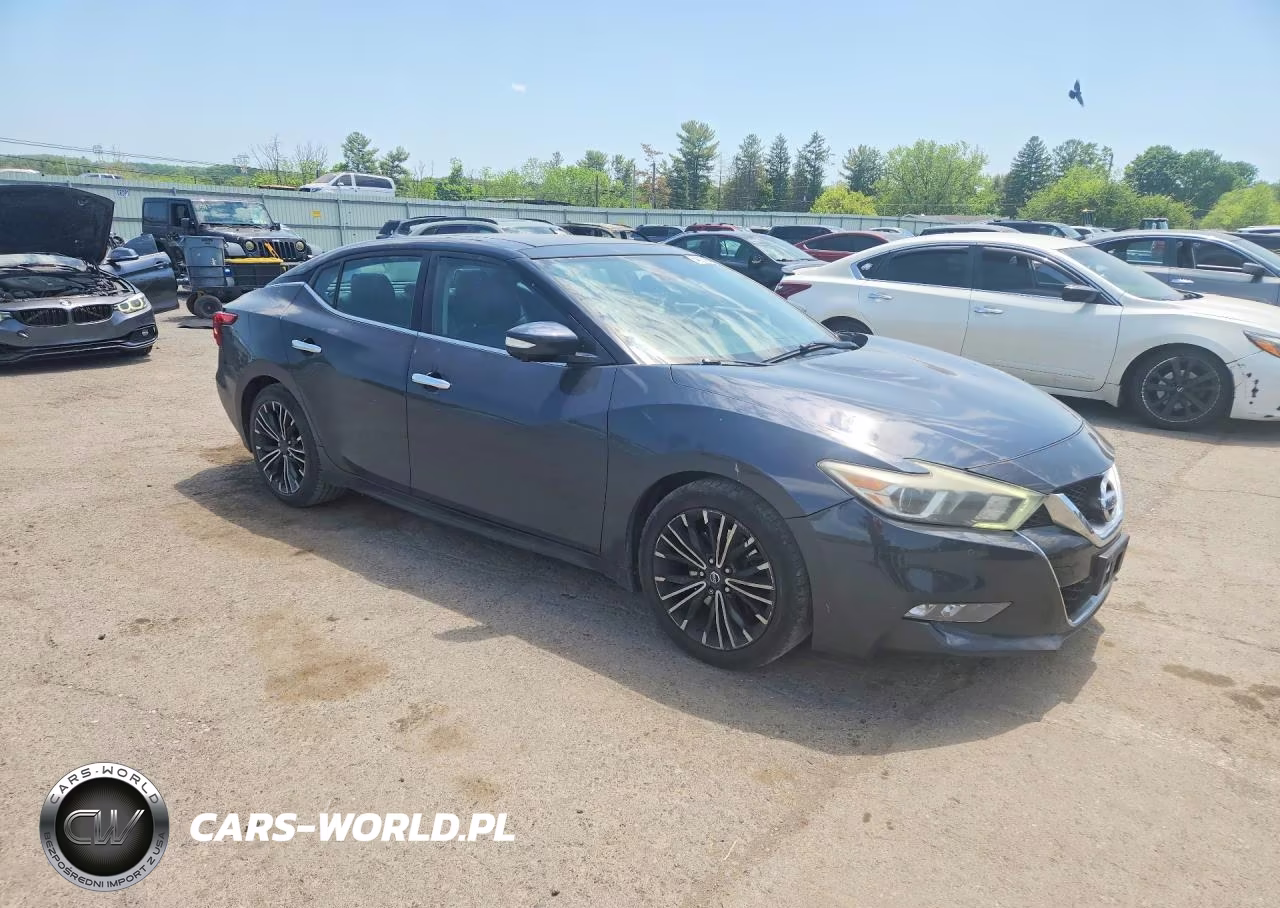 2016 Nissan Maxima Platinum VIN:1N4AA6APXGC394363 - 4
