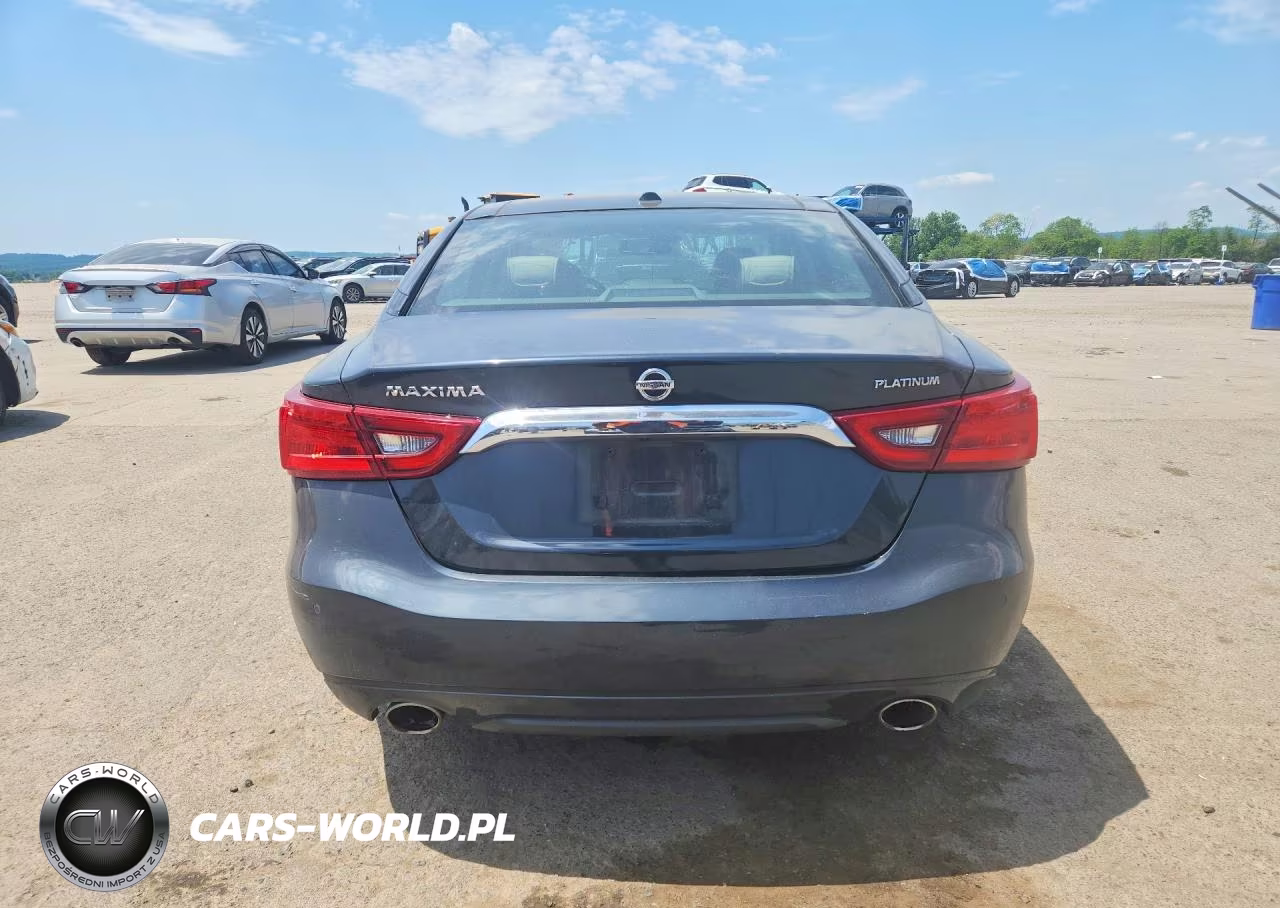2016 Nissan Maxima Platinum VIN:1N4AA6APXGC394363 - 6