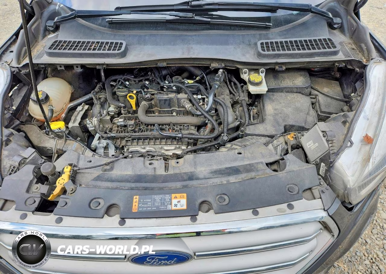2019 Ford Escape Sel VIN:1FMCU9HDXKUB82990 - 12