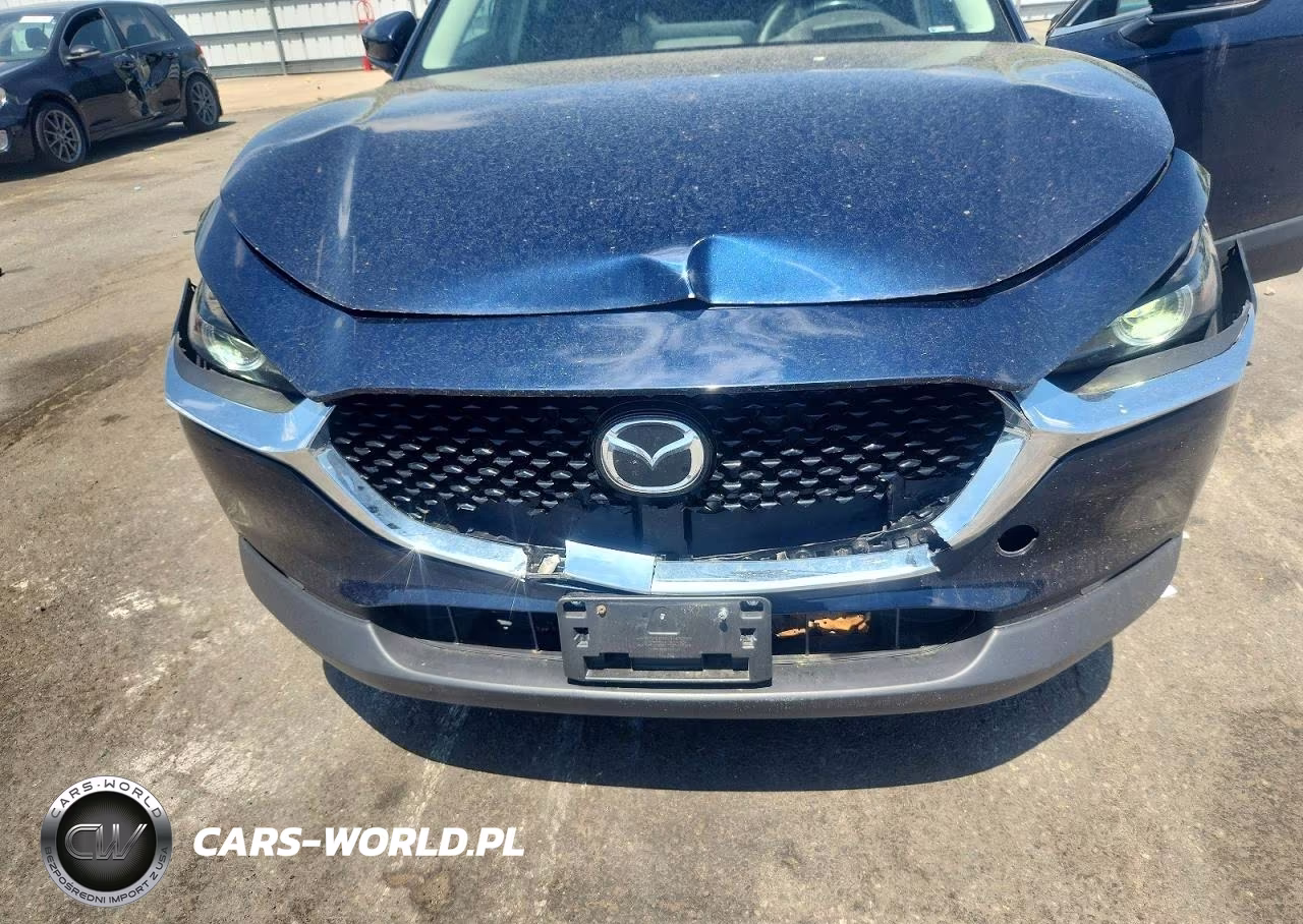 2020 Mazda Cx-30 Premium VIN:3MVDMBEM5LM131843 - 11