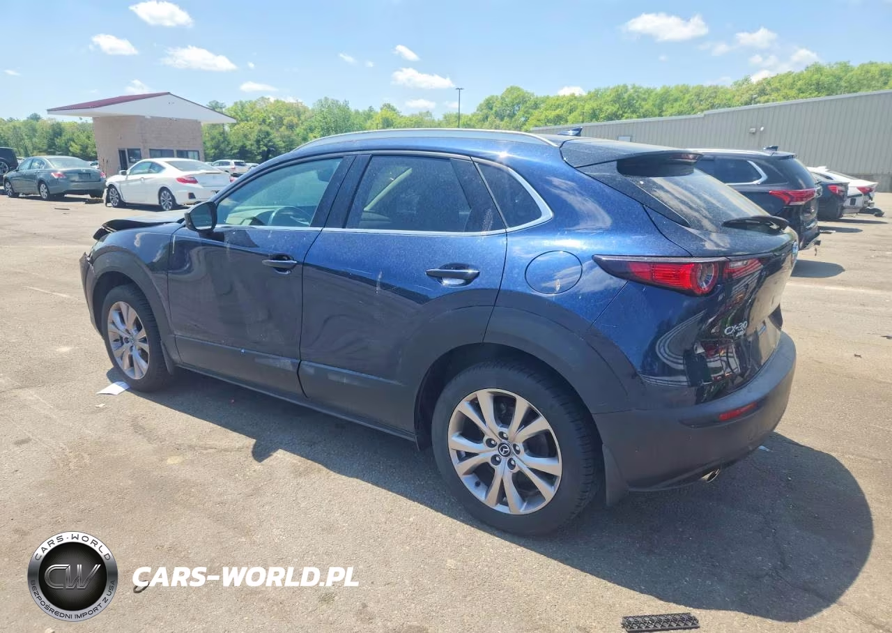 2020 Mazda Cx-30 Premium VIN:3MVDMBEM5LM131843 - 2