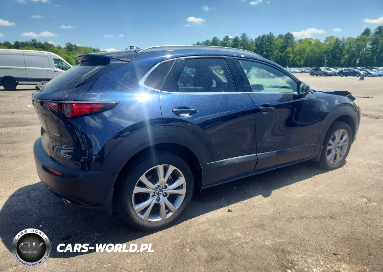 2020 Mazda Cx-30 Premium VIN:3MVDMBEM5LM131843 - 3
