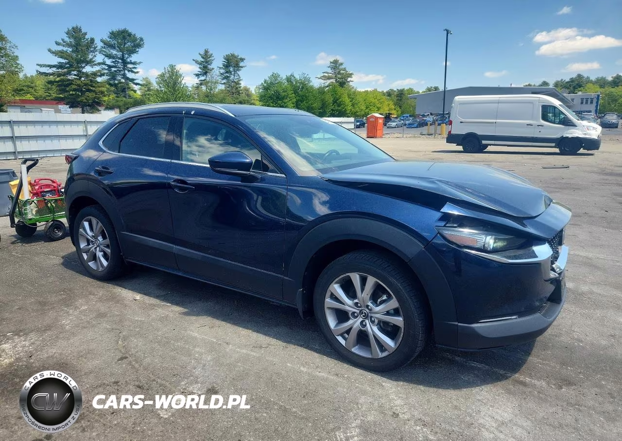 2020 Mazda Cx-30 Premium VIN:3MVDMBEM5LM131843 - 4