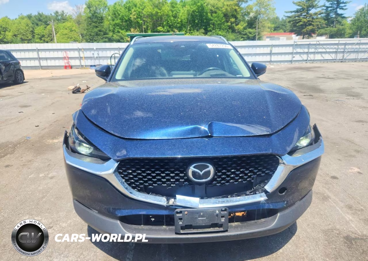 2020 Mazda Cx-30 Premium VIN:3MVDMBEM5LM131843 - 5