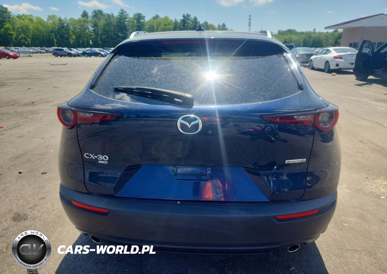 2020 Mazda Cx-30 Premium VIN:3MVDMBEM5LM131843 - 6