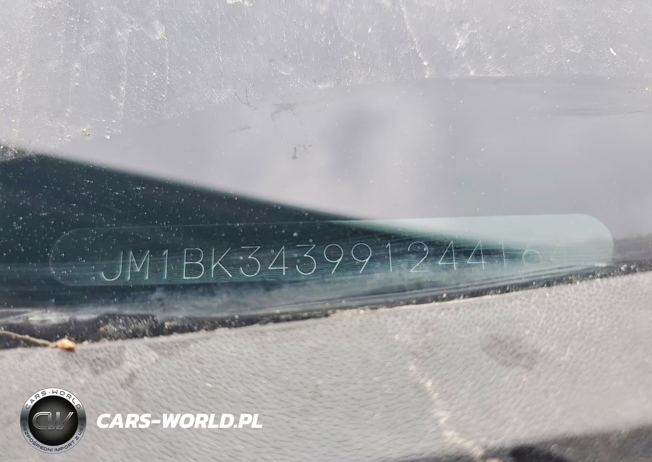 2009 Mazda 3 S VIN:JM1BK343991244164 - 12
