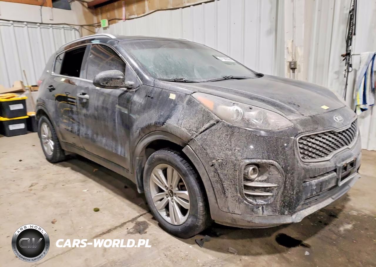 2017 Kia Sportage Lx VIN:KNDPM3AC9H7187464 - 4