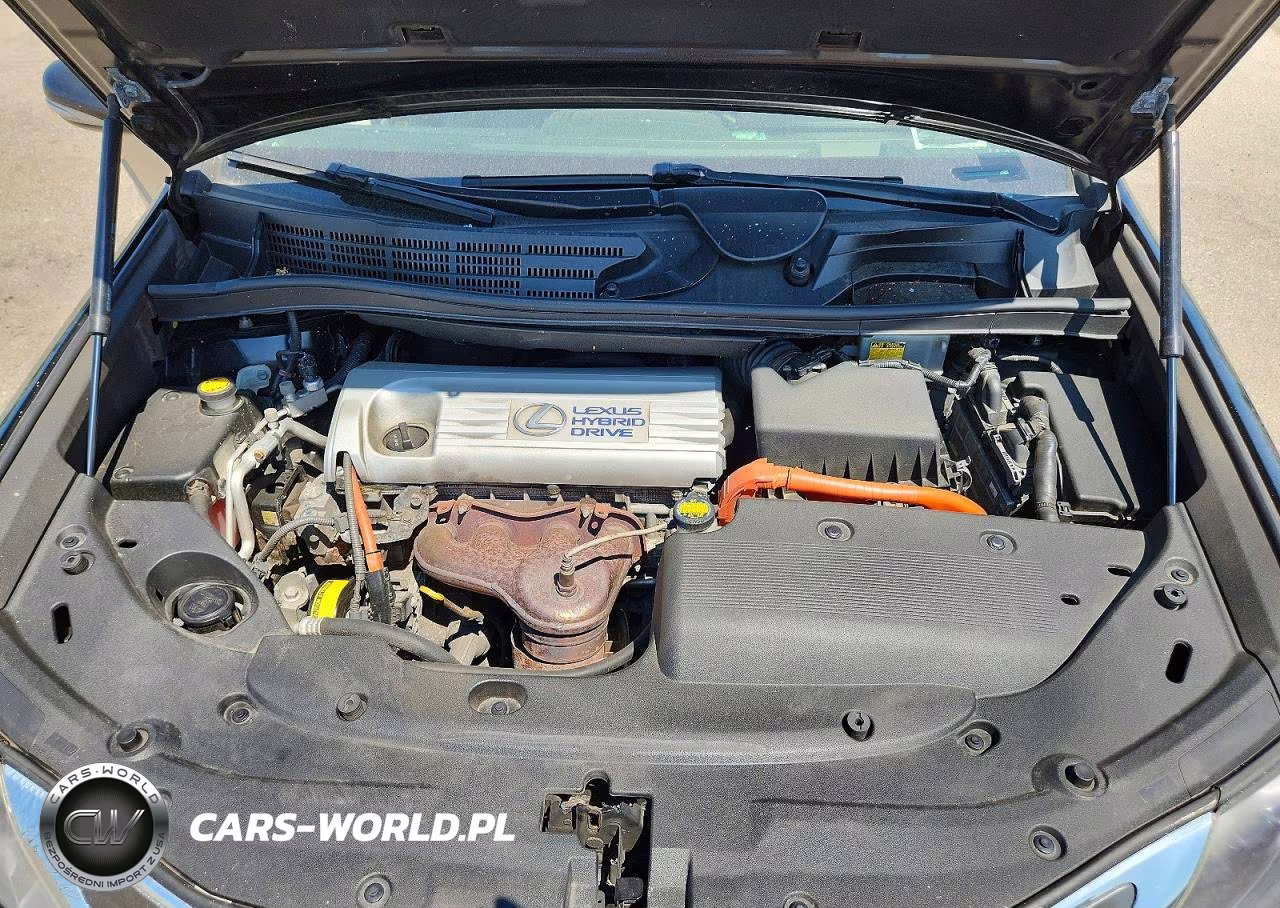 2010 Lexus Hs 250H VIN:JTHBB1BA8A2018698 - 11