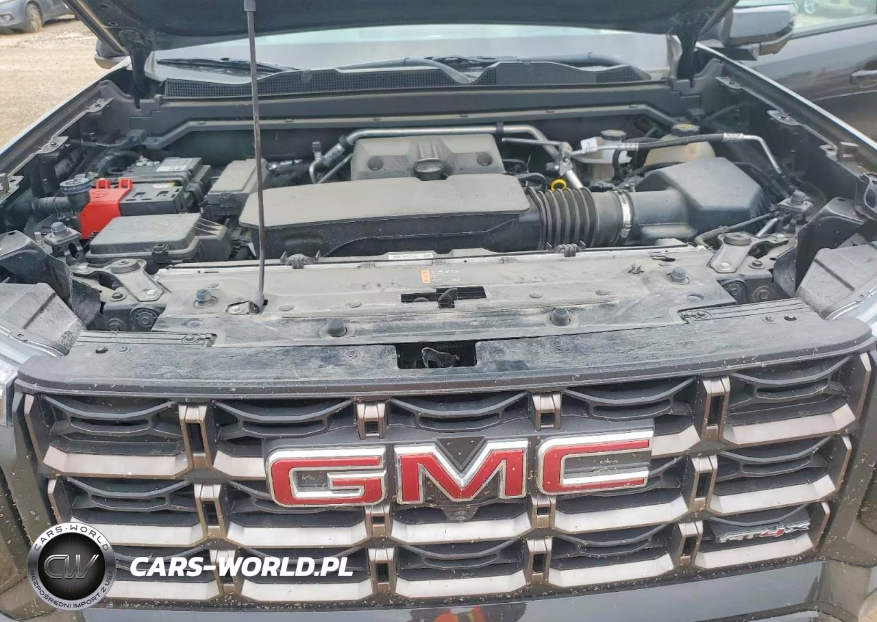 2024 GMC Canyon At4X VIN:1GTP6EEK3R1258606 - 11
