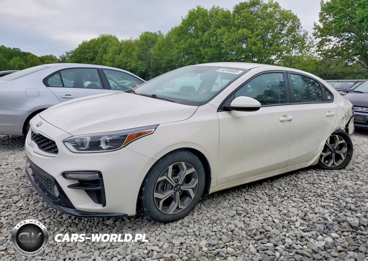 2019 Kia Forte Lxs