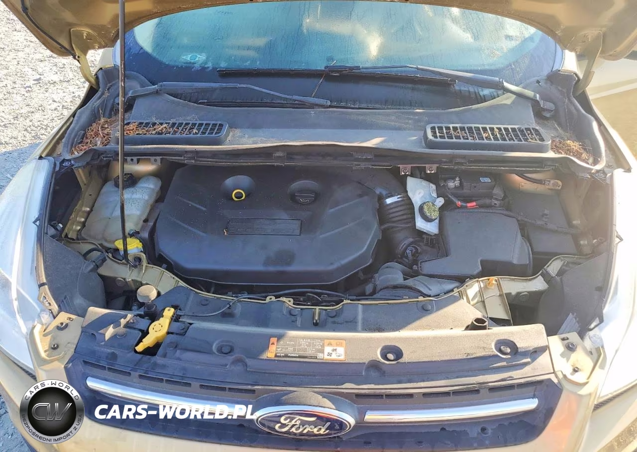 2014 Ford Escape Se VIN:1FMCU9G99EUC22011 - 11