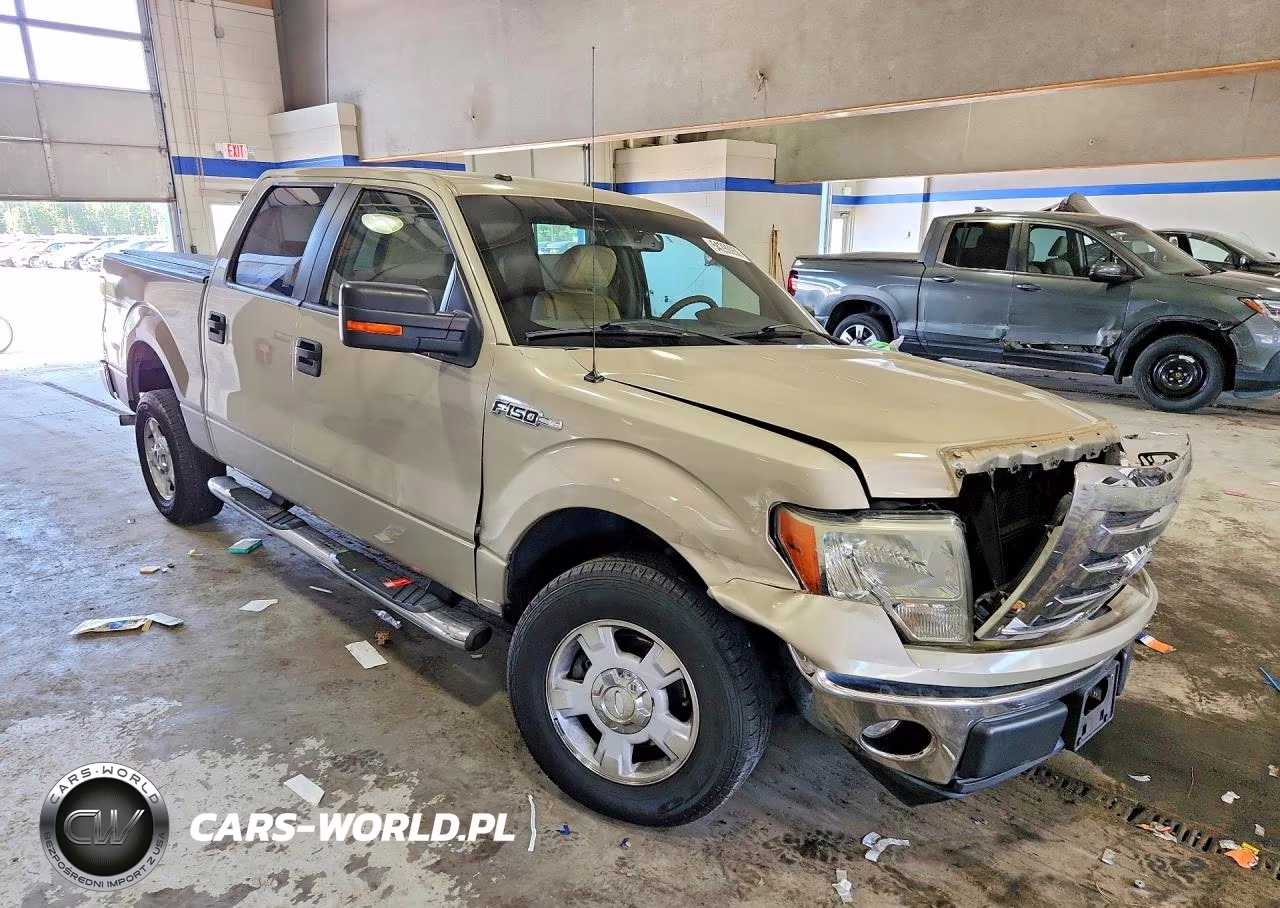 2009 Ford F150 Supercrew VIN:1FTPW12V29KB49958 - 4
