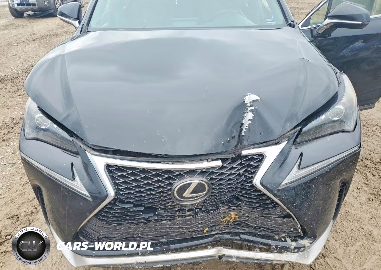 2016 Lexus Nx 200T F Sport VIN:JTJBARBZ6G2066750 - 12