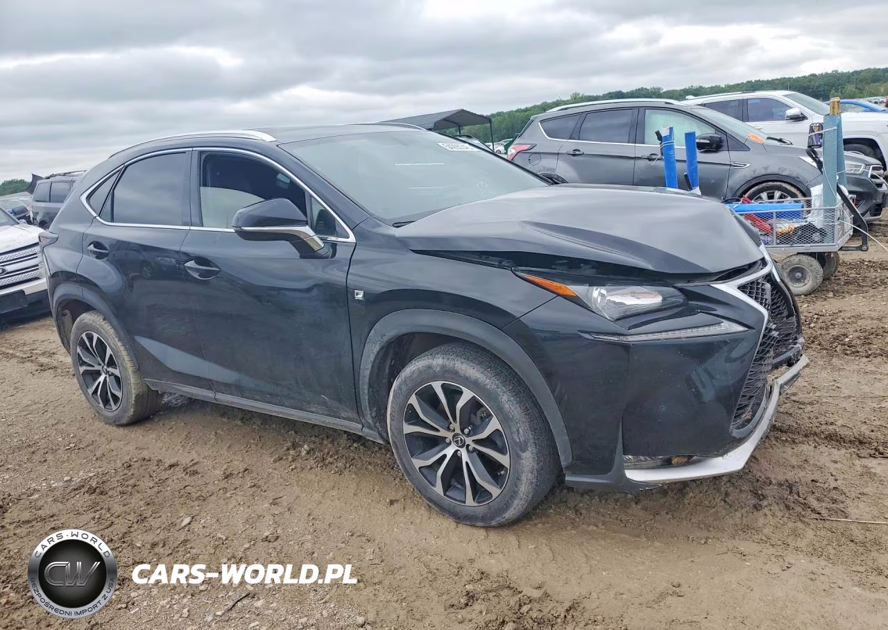 2016 Lexus Nx 200T F Sport VIN:JTJBARBZ6G2066750 - 4