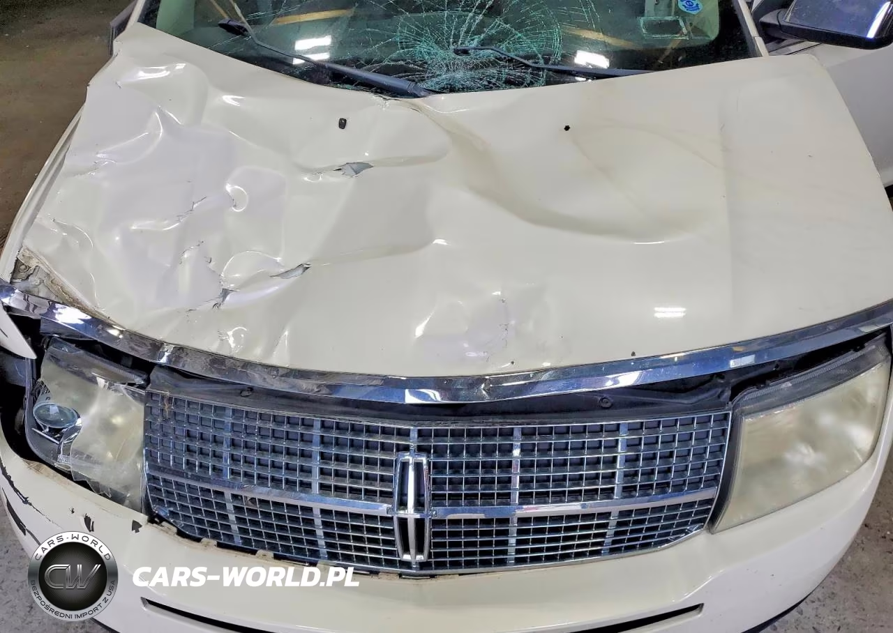 2007 Lincoln Mkx VIN:2LMDU88CX7BJ32646 - 12