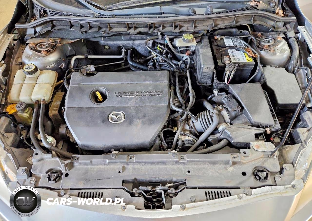 2010 Mazda 3 I VIN:JM1BL1SG7A1328849 - 11