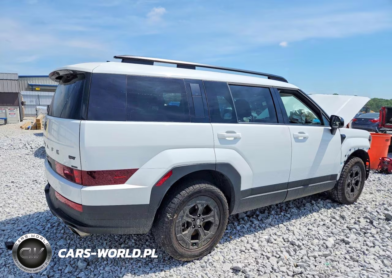 2025 Hyundai Santa Fe Xrt VIN:5NMP3DGL2SH084032 - 3